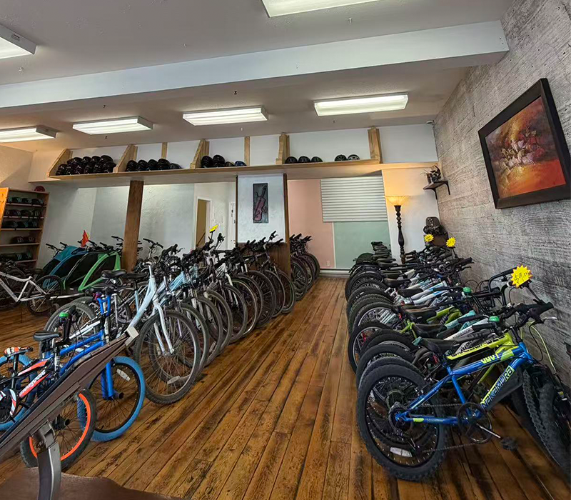Wander Bike Rental
