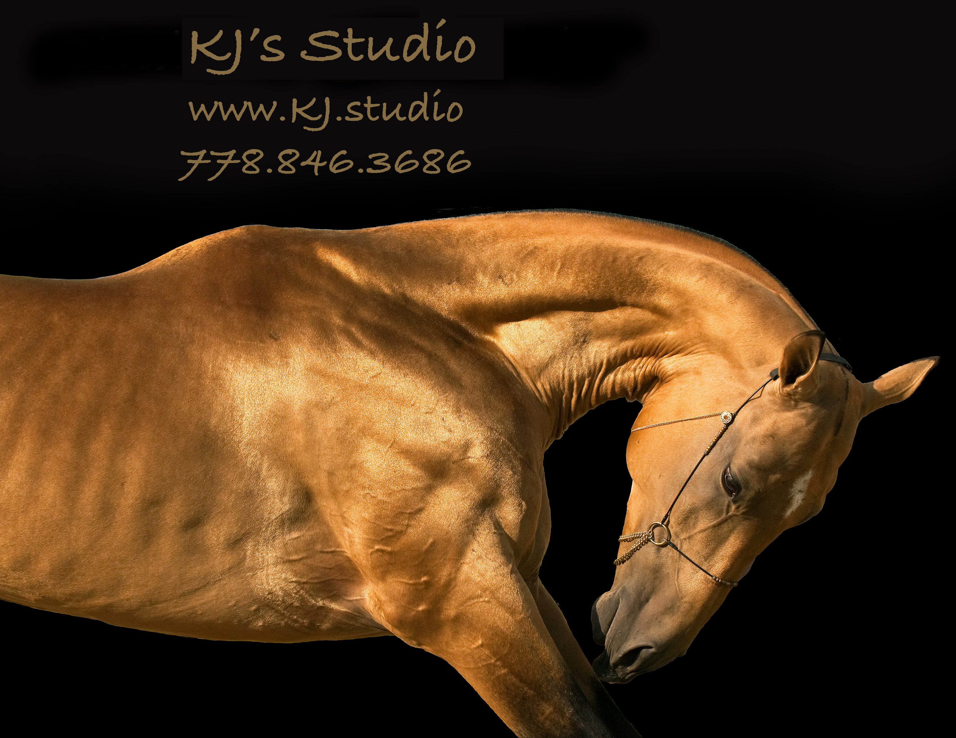 KJ’s Studio